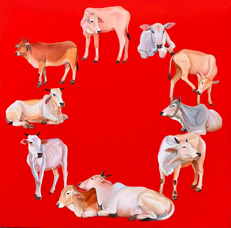 Feroz Khan-FEKH-Gaushala