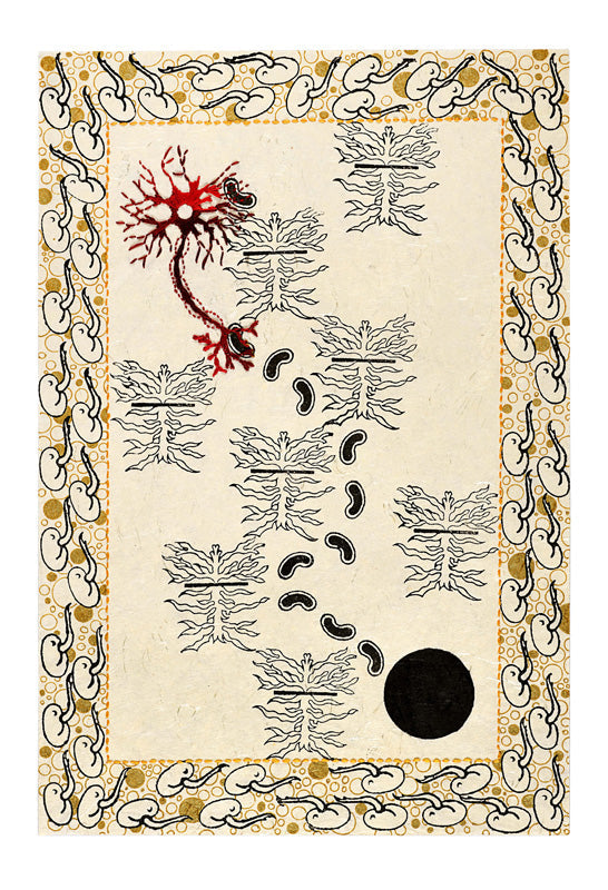 Sunaina Bhalla-SUBH-Toxic Necessities & The Hurt Mantra