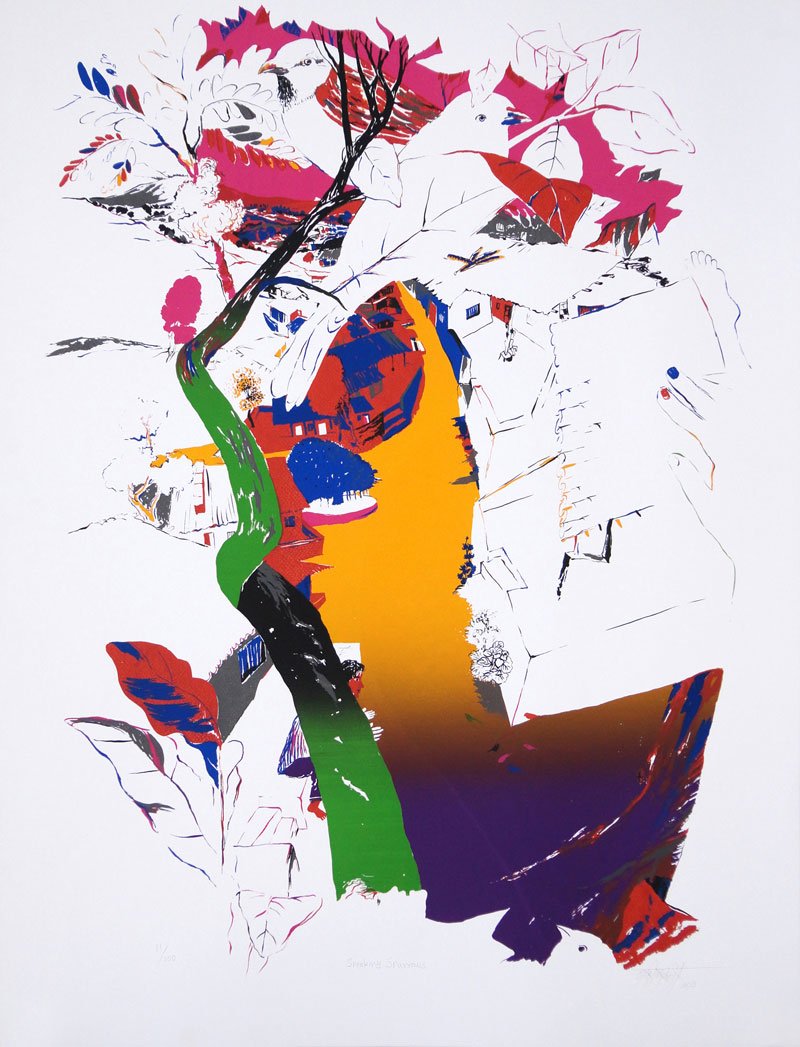 Nabibaksh Mansoori-Speaking Sparrows