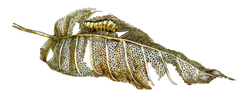 Pintu Sikder-Do Butterflies remember being Caterpillars