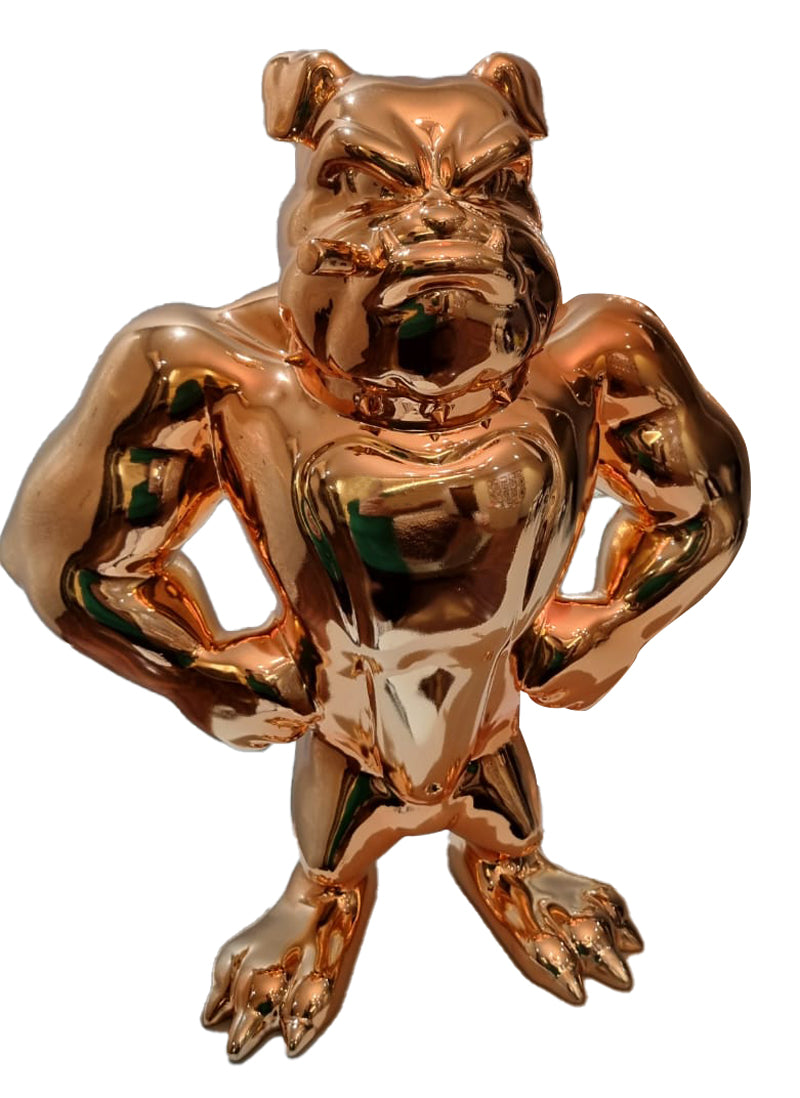 Sanuj Birla-SABI-Boss Dog