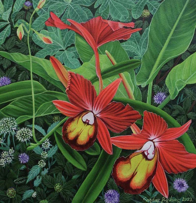 Sandeep Jigdung-SAJI-Untitled