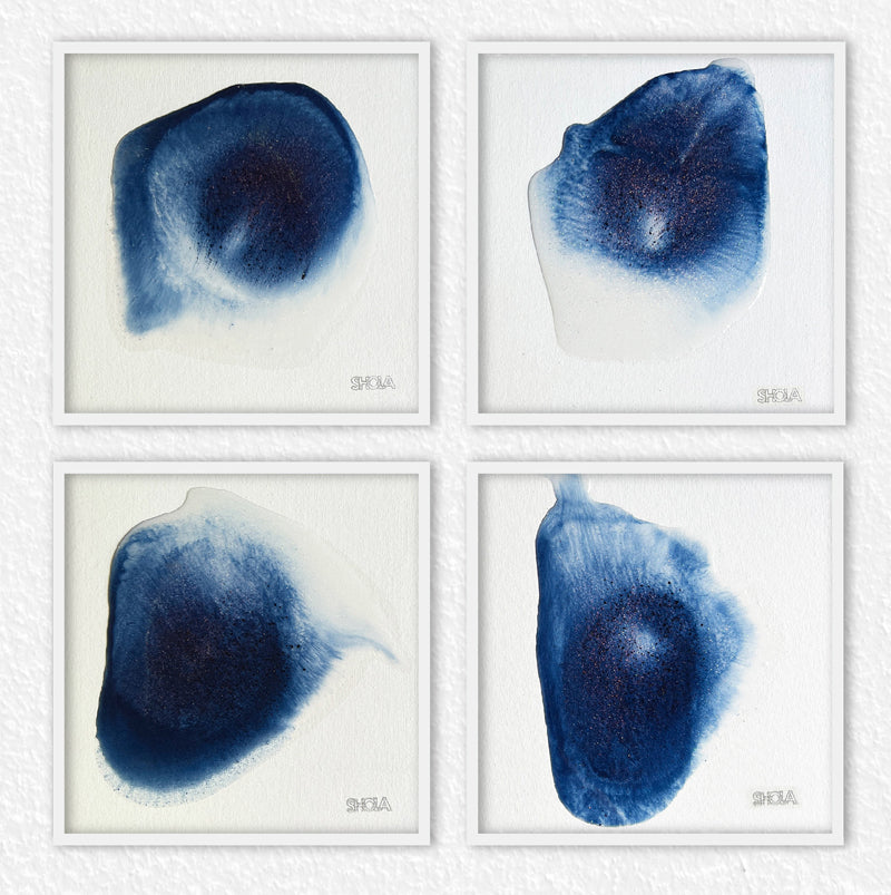 Shola Carletti-SHCA-Because we come from the sky