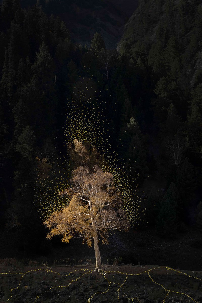 AVRA-Dot Series IV, V, VI - TheCuratorsArt