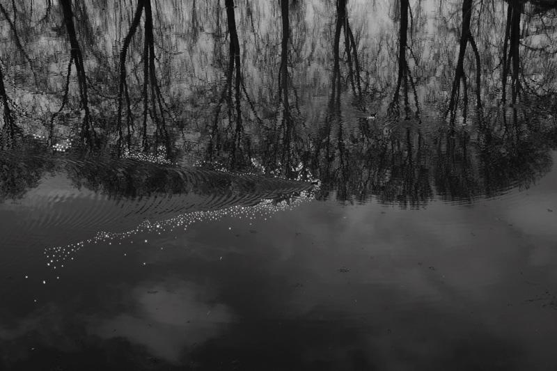 Avani Rai-Dot Series IX 