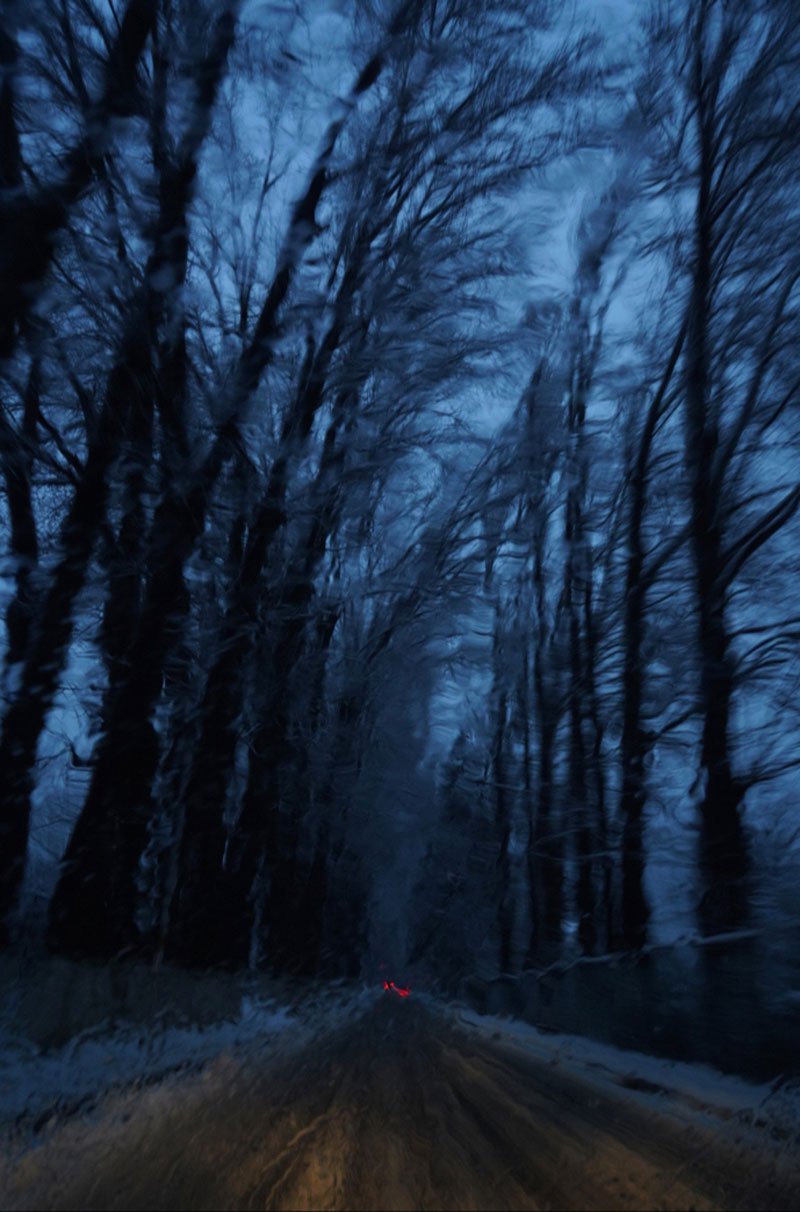 Avani Rai-Dot Series XVI