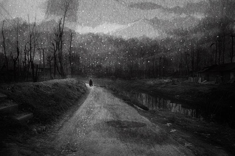 Avani Rai-Dot Series XVII