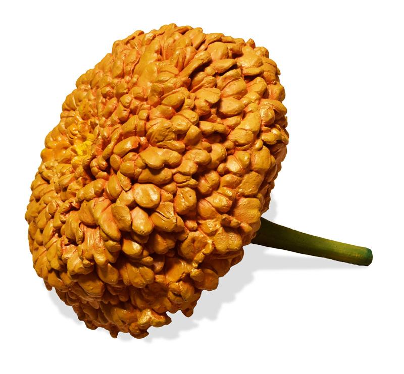 Kallpana Shah-Marigold