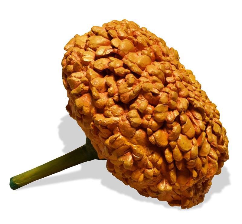 Kallpana Shah-Marigold