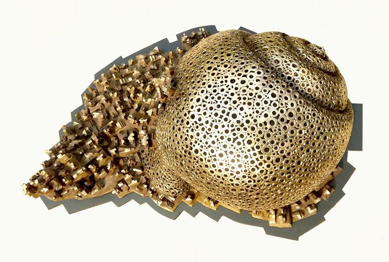 Pintu Sikder-Conch Shell