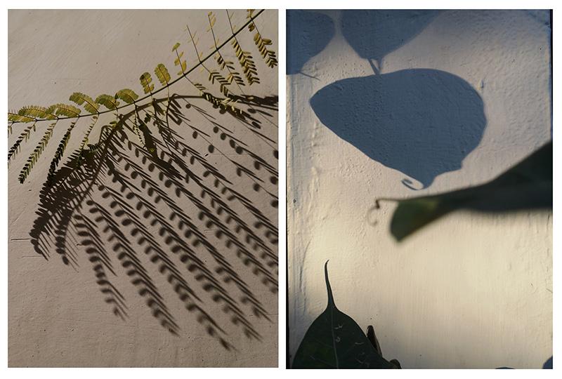 Sanjay Bhattacharya-Untitled