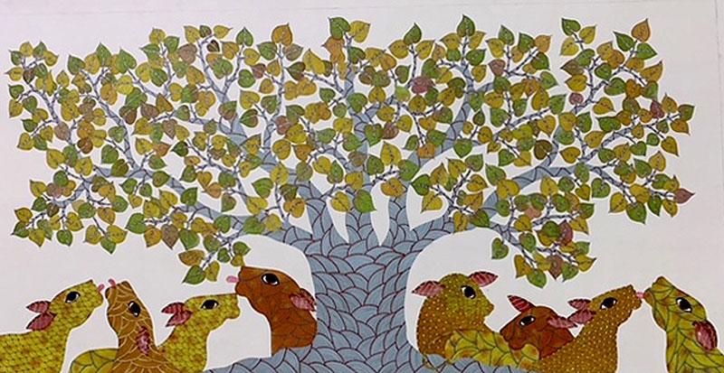 Venkat Shyam-Shelter